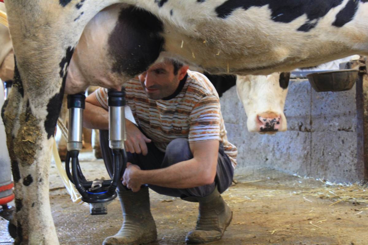 Şap yüzünden böyle oldu üretici enflasyonu yüzde 4,27 arttı