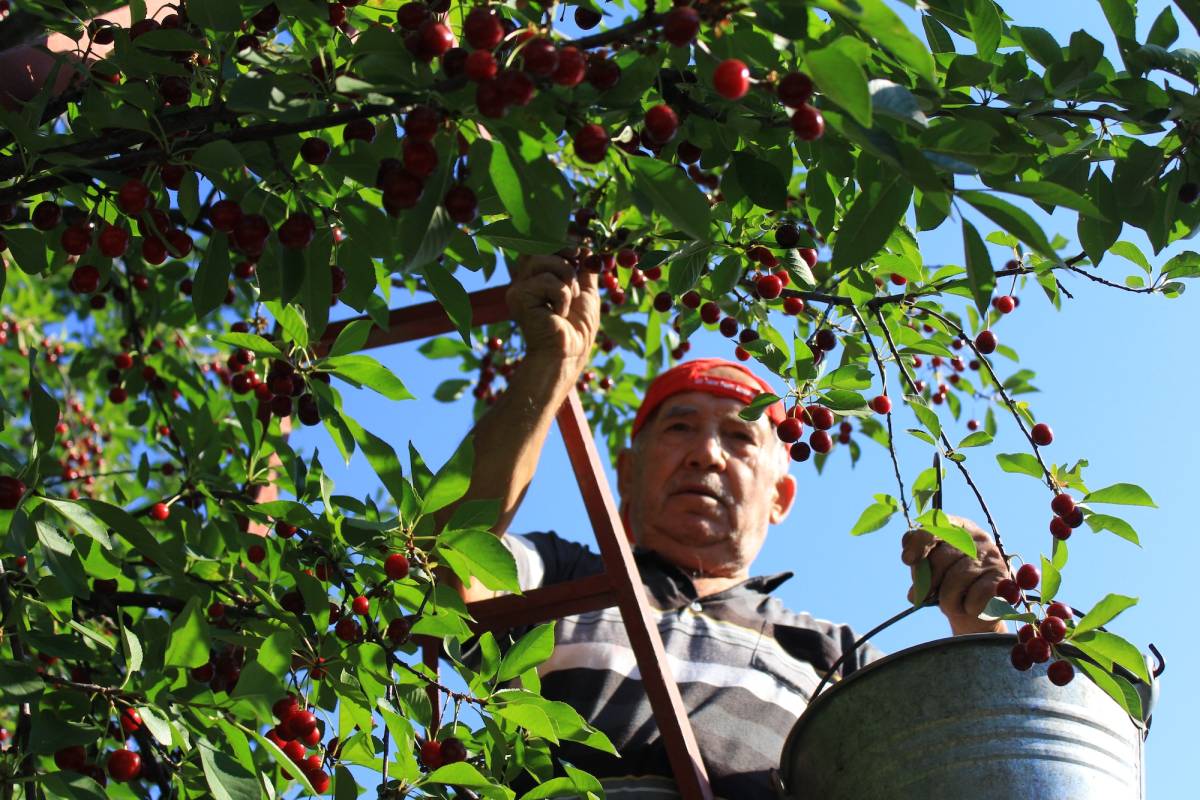TÜRKYED: Çiftçiye desteklerin arttığı bir yıl diliyoruz