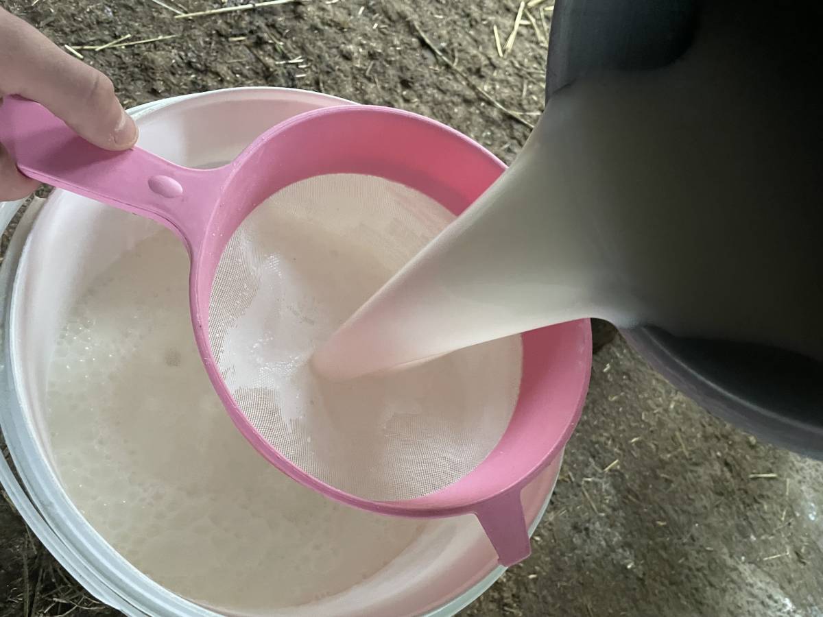 TÜSEDAD çiğ sütün maliyetini 23,77 lira olarak açıkladı