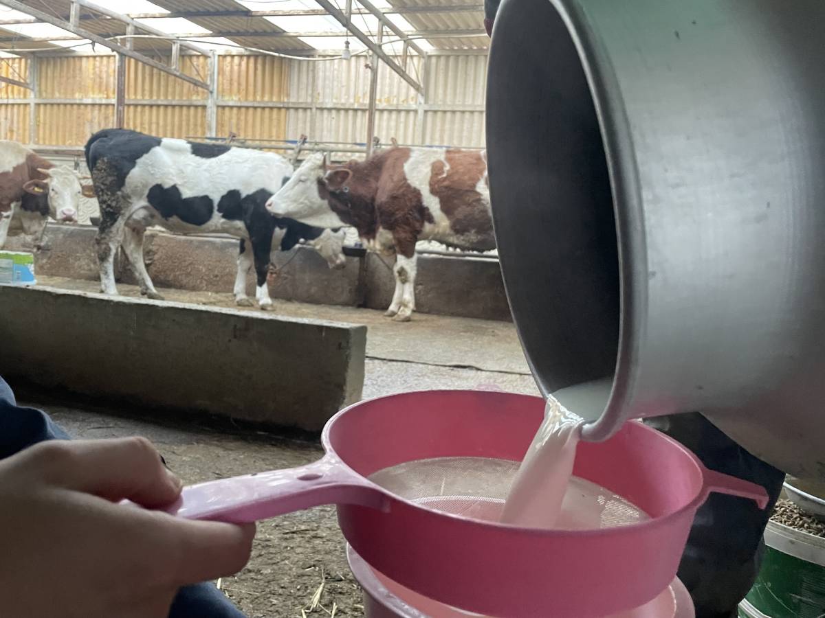 TÜSEDAD: 15 Aralık'tan itibren çiğ süt en az 27 lira olmalı