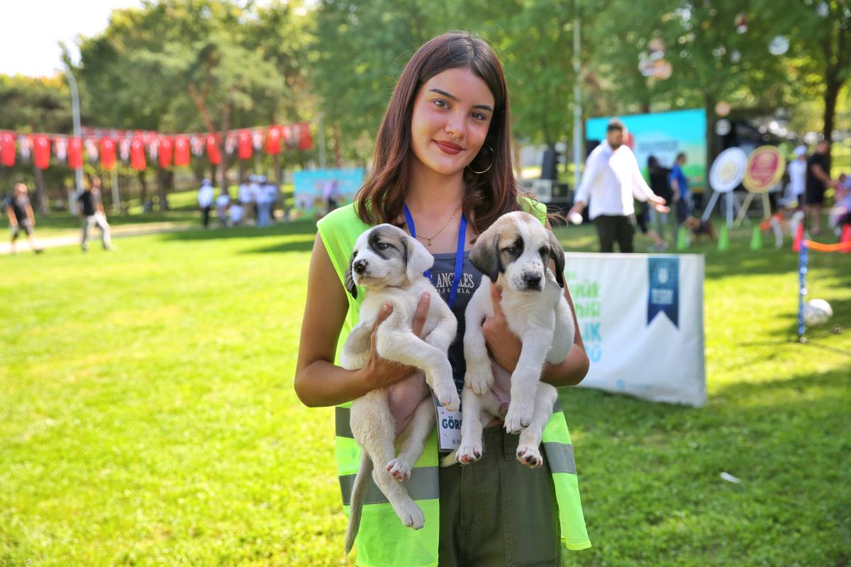 Bursa Büyükşehir, sokak hayvanlarını yalnız bırakmadı
