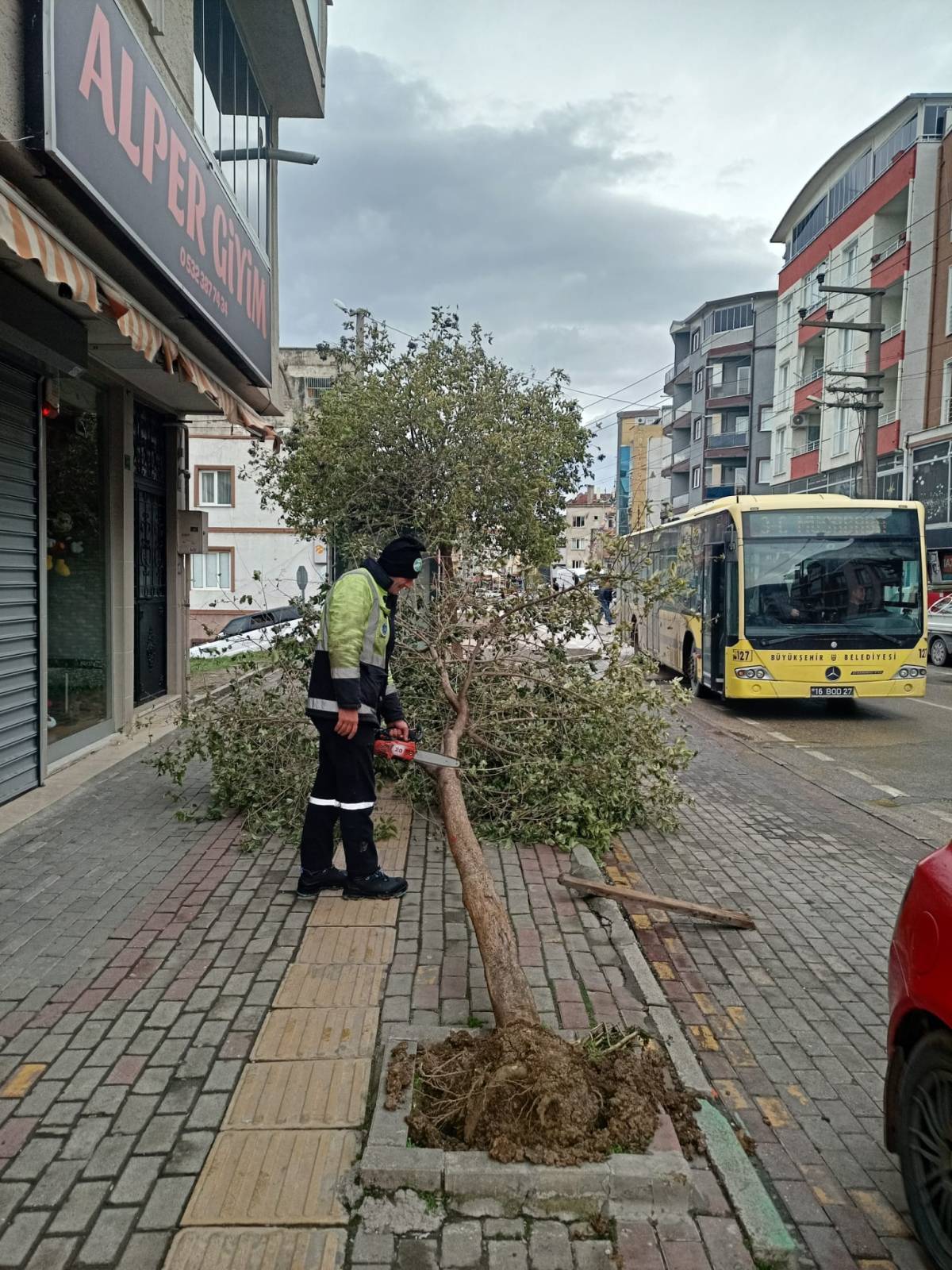 Bursa Büyükşehir'e 50 lodos ihbarı