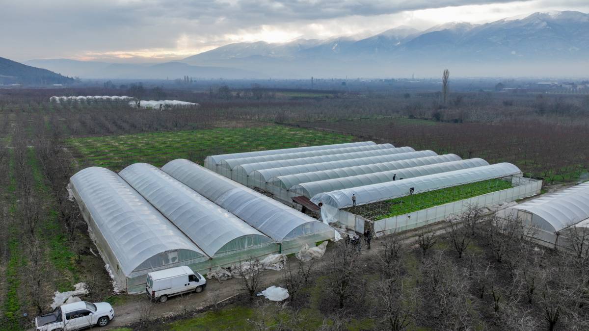 Bursa'da lodostan zarar gören seralara naylon desteği