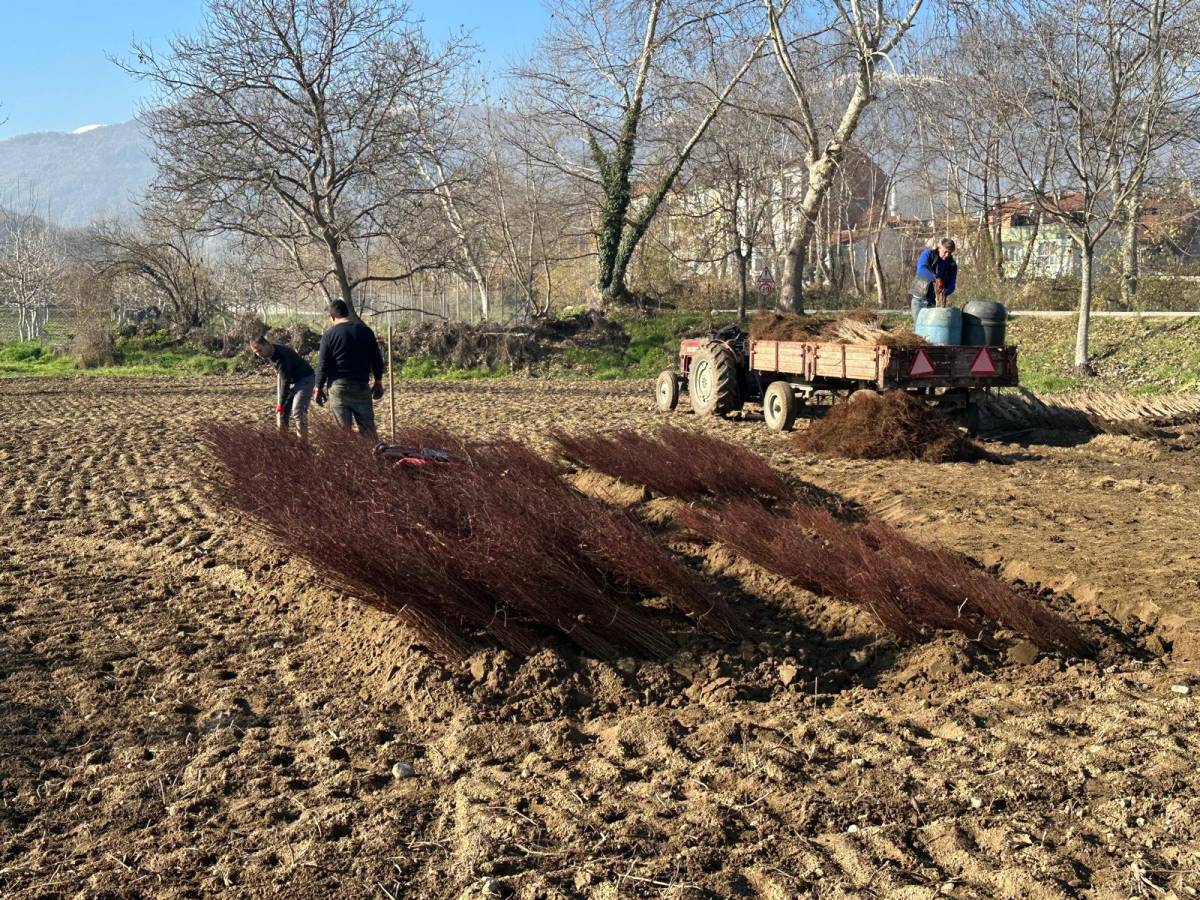 Kurulan her meyve bahçesinde 