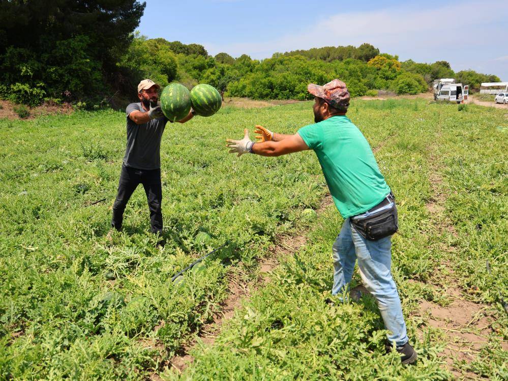 Çiftçi enflasyonu hız kesmiyor