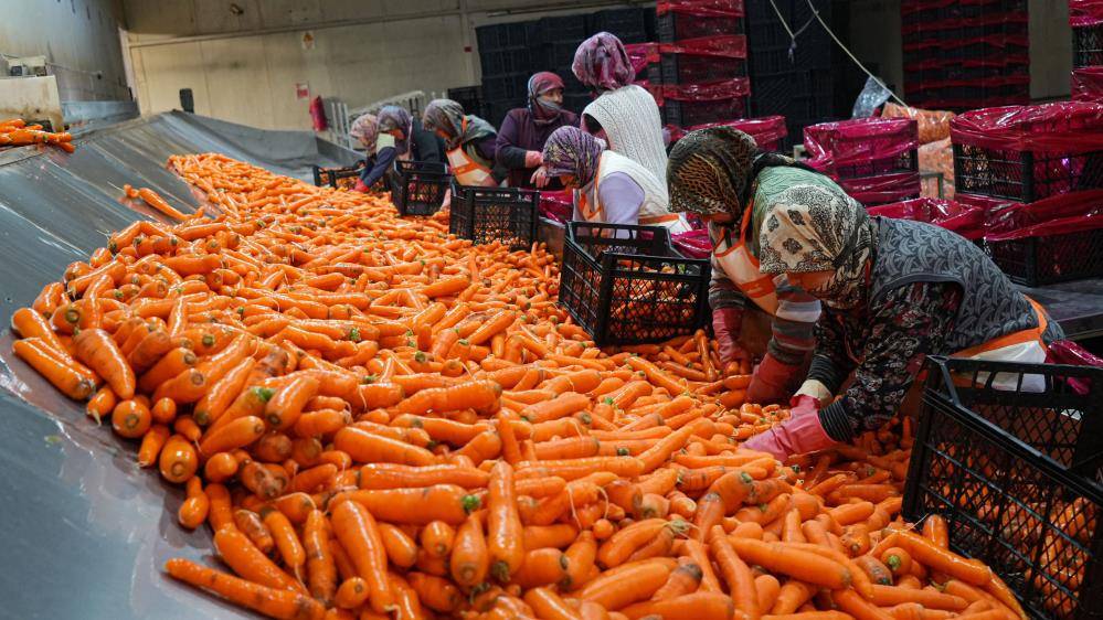 Soğuk, fırtına, dolu ve yağışlar, sebzede fiyatları zıplattı
