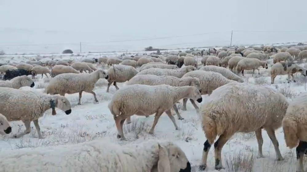 Türküleriyle ünlü Sivaslı çoban kar yağışında yine söyledi