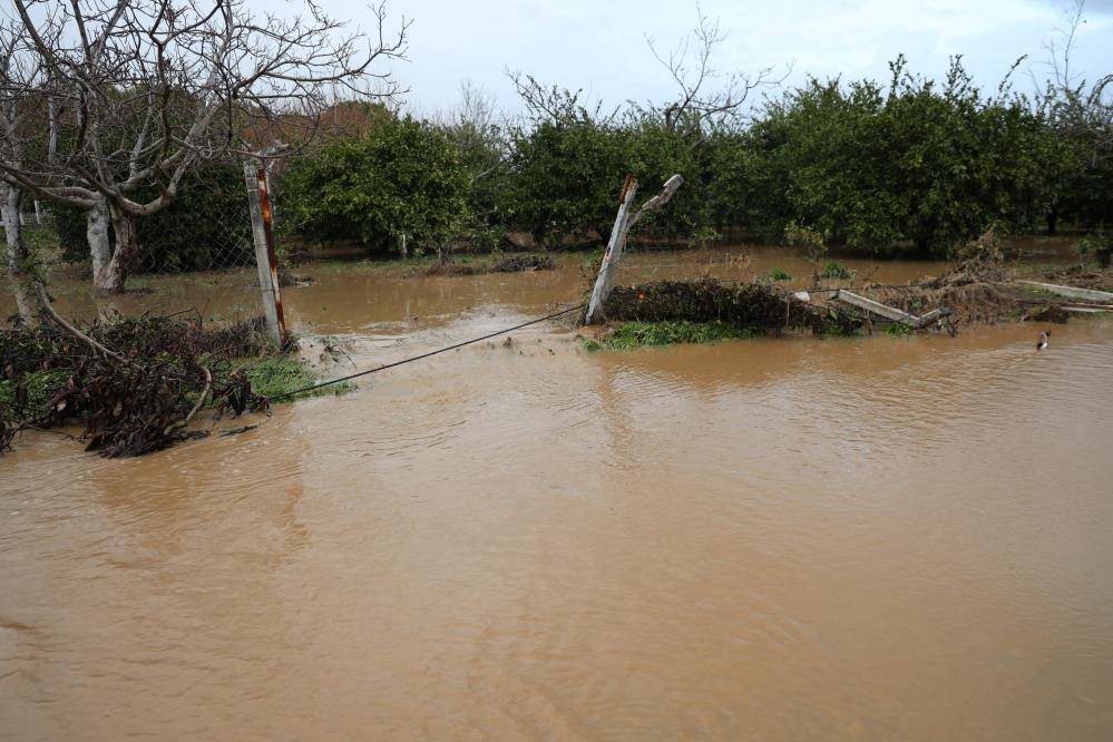 Kuşadası'nda meyve bahçeleri adeta göle döndü