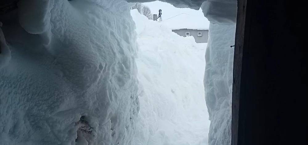 Sivas'ta 3 metre kar altında ahırın kapısını bulamadılar