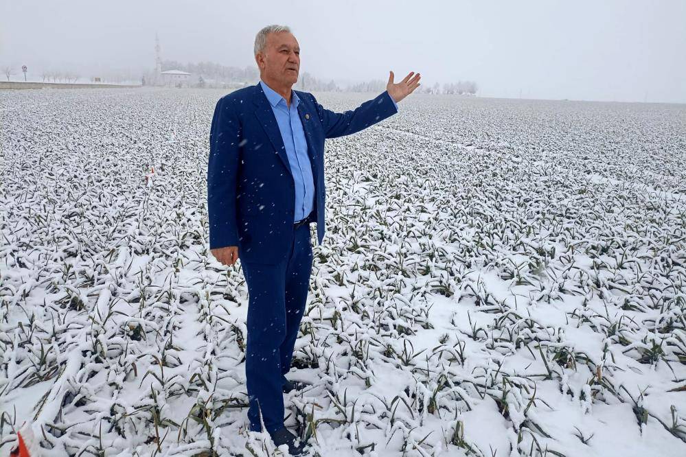 Sarımsakta kar sevinci