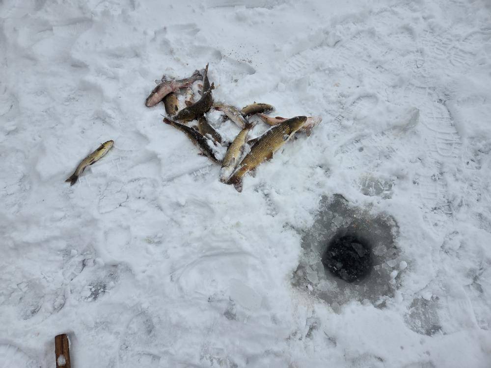 Kızılırmak’ta Eskimo usulü balık avladı