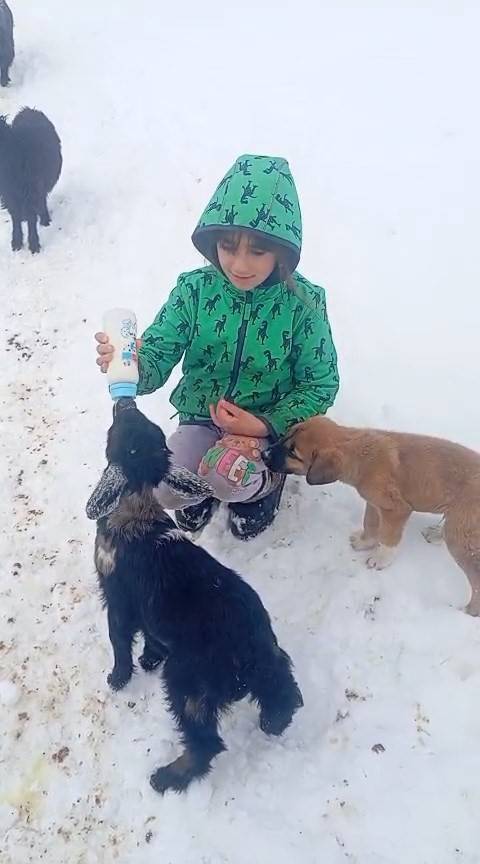 Soğuğa ve kara 3 gün dayandı ama annesi reddetti