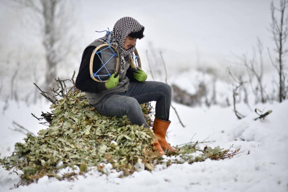 Kızaklarla hayvanlarına 2 kilometre yem taşıyorlar