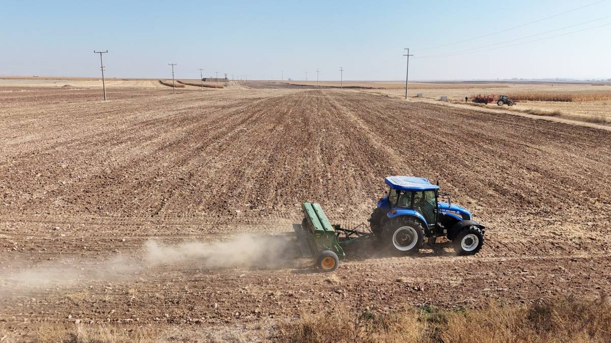 Danıştay karar verdi; Alpu Ovası, tarım alanı olarak kalacak