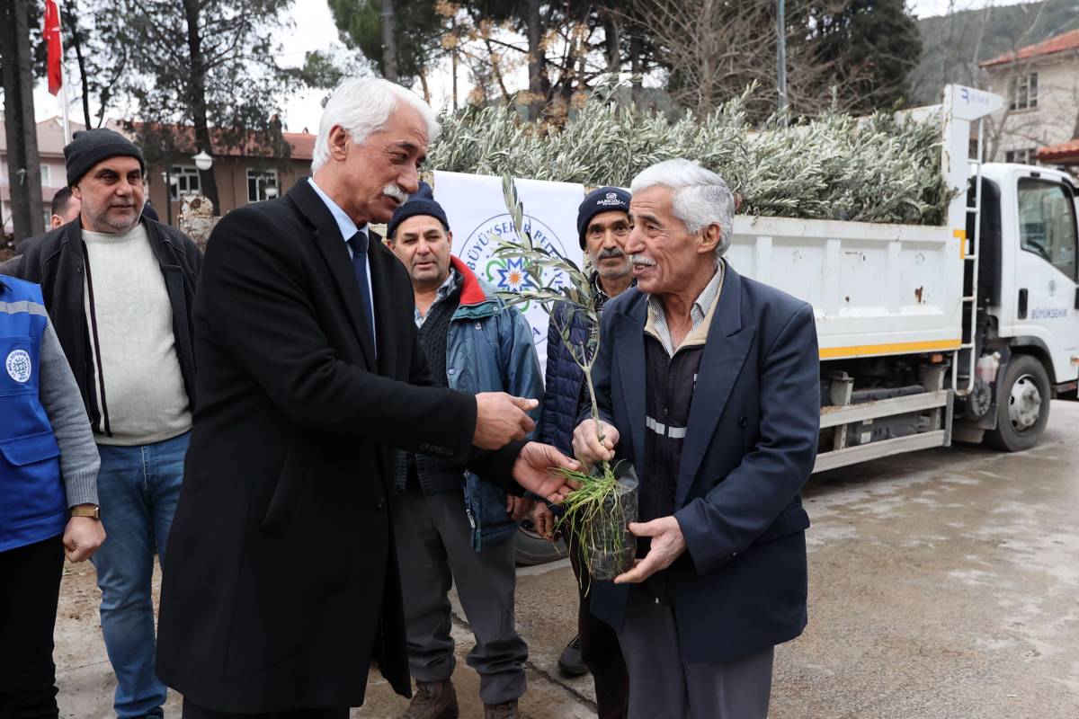 Muğla'da Büyükşehir 159 bin zeytin ve ceviz fidanı dağıttı