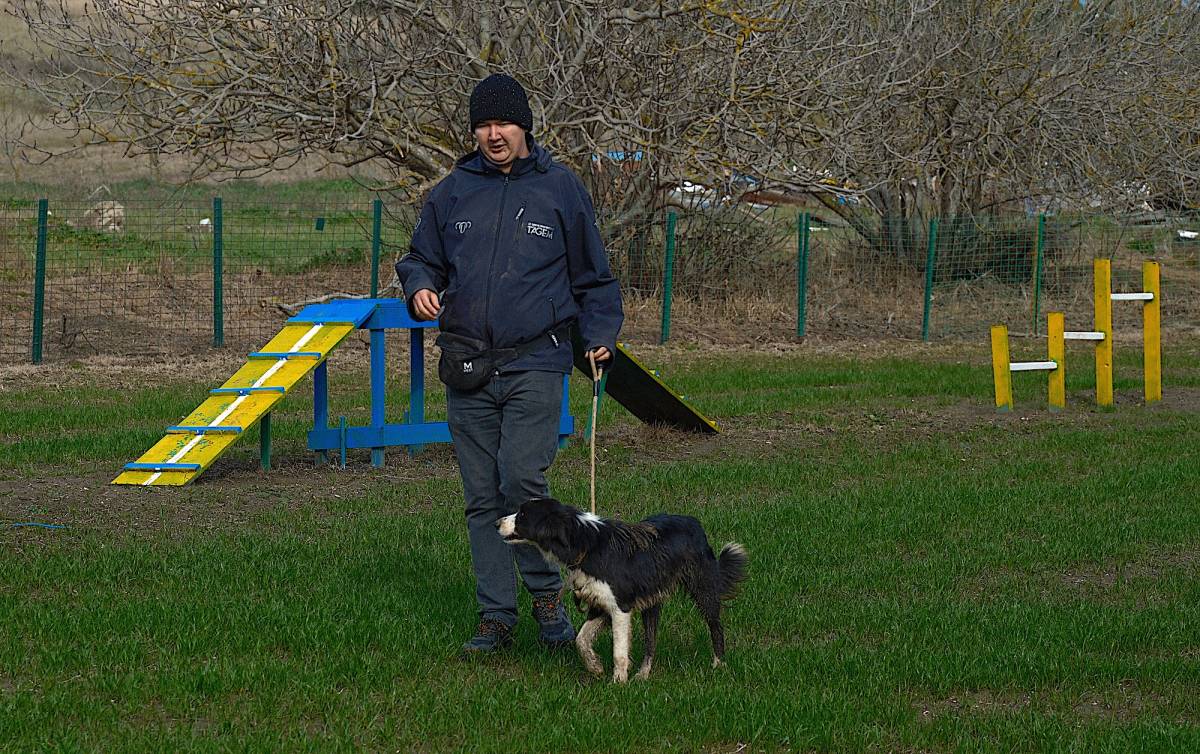 Küçükbaş çobanlarına hareketli ve heyecanlı yardımcı geliyor