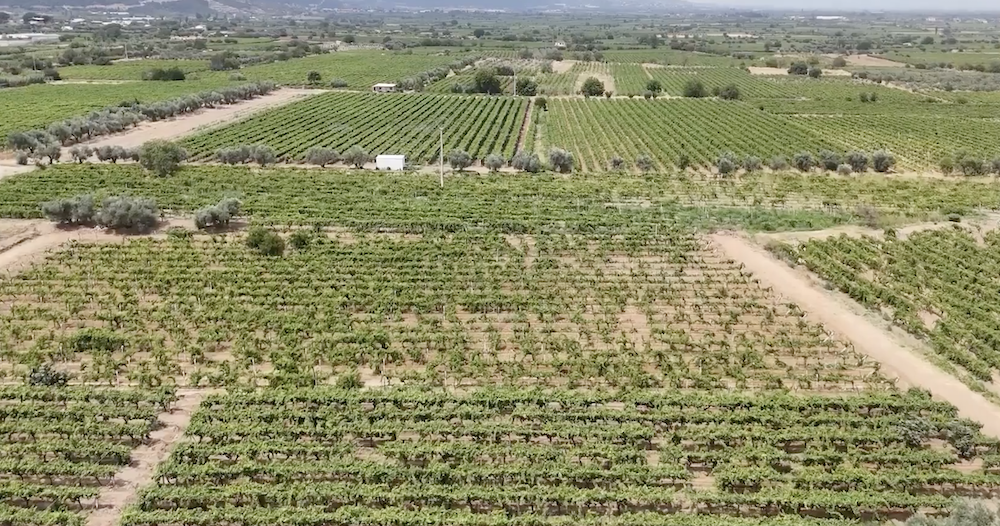 Gediz Ovası'nda 24 bin dekar arazi suya kavuşuyor
