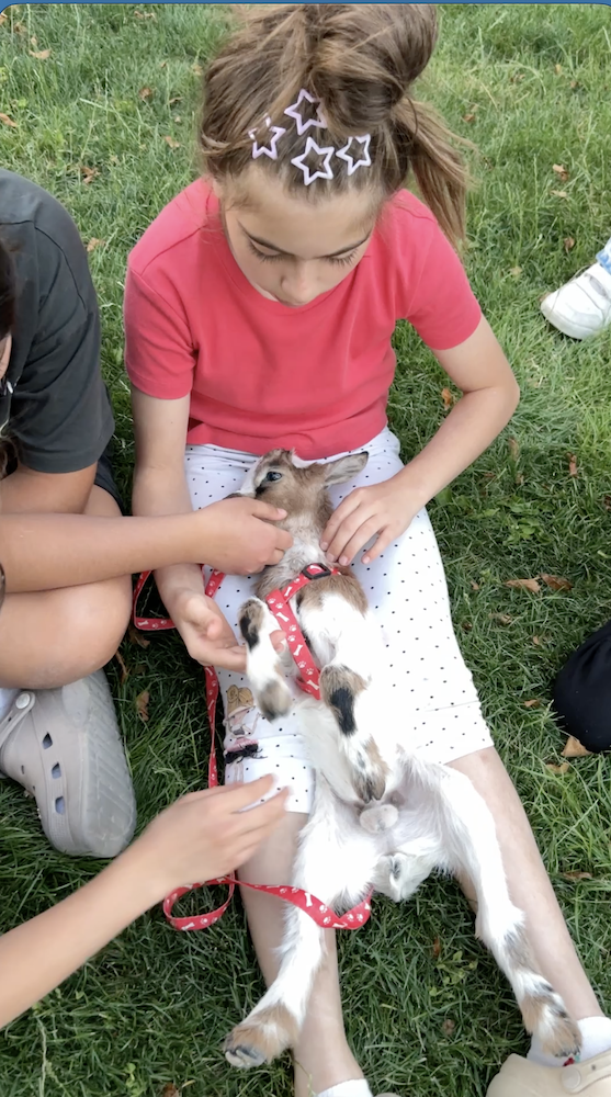 Ne eti ne sütü için besleniyorlar; küçükler çok seviliyorlar