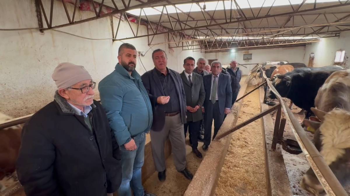 Haymanalı üretici: Köyde hayvan kalmadı çoğu ahır boş