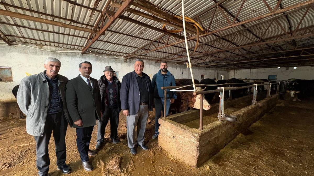 Şapla mücadele eden süt inekçisi yaşadıklarını anlattı