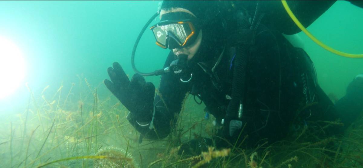 Marmara Denizi'ne kıyı kentlerin Belediye Başkanlarına çağrı