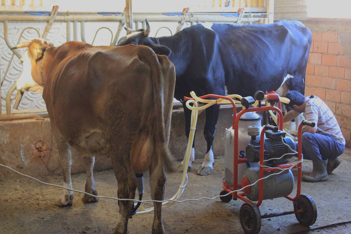 Çiftçi maliyeti kasımda yüzde 34'ün üzerinde arttı
