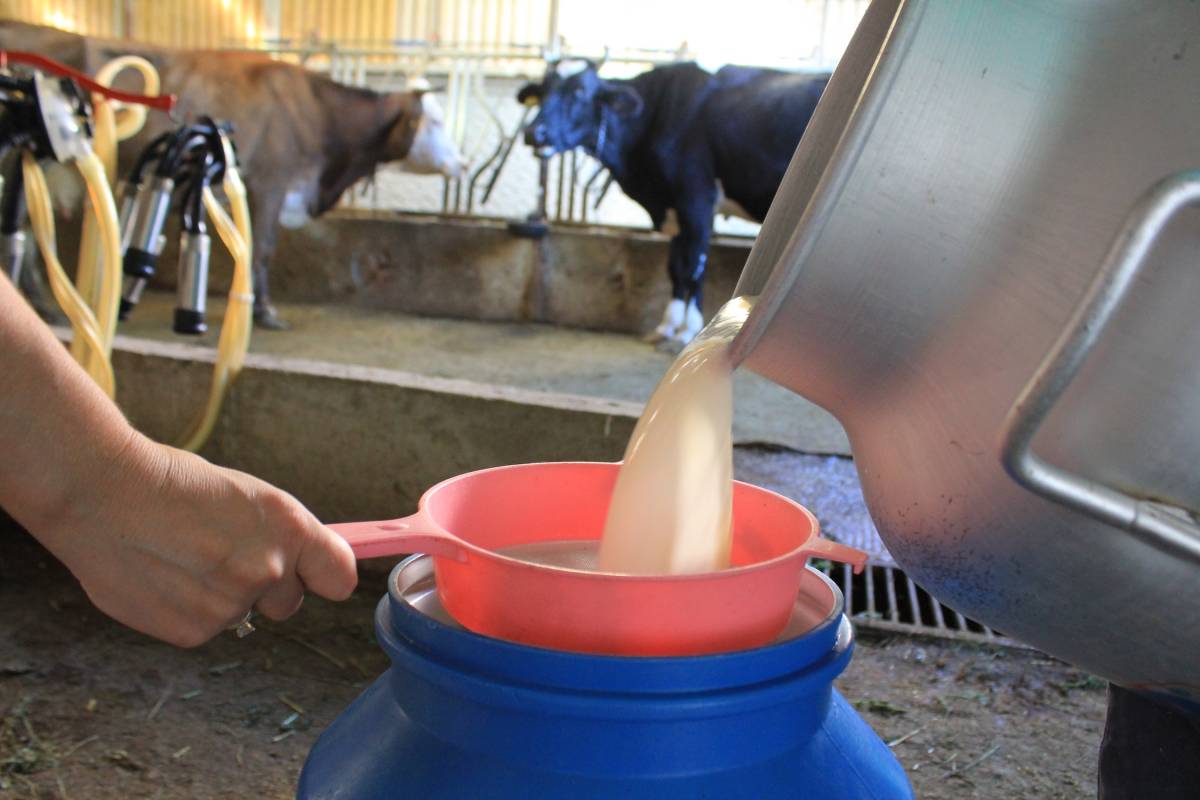 Çiğ süt fiyatının açıklanmamasına TÜSEDAD'dan sert tepki