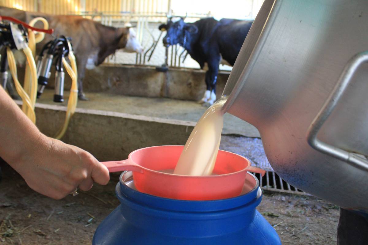 Çiğ süt fiyatı 22,22 lira olarak açıklandı