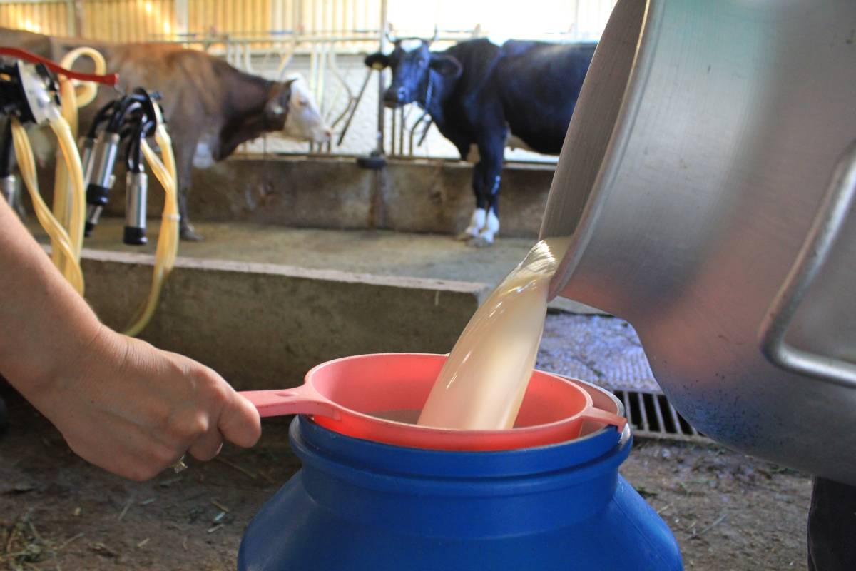 Çiğ süt maliyeti 23,93 liraya yükseldi