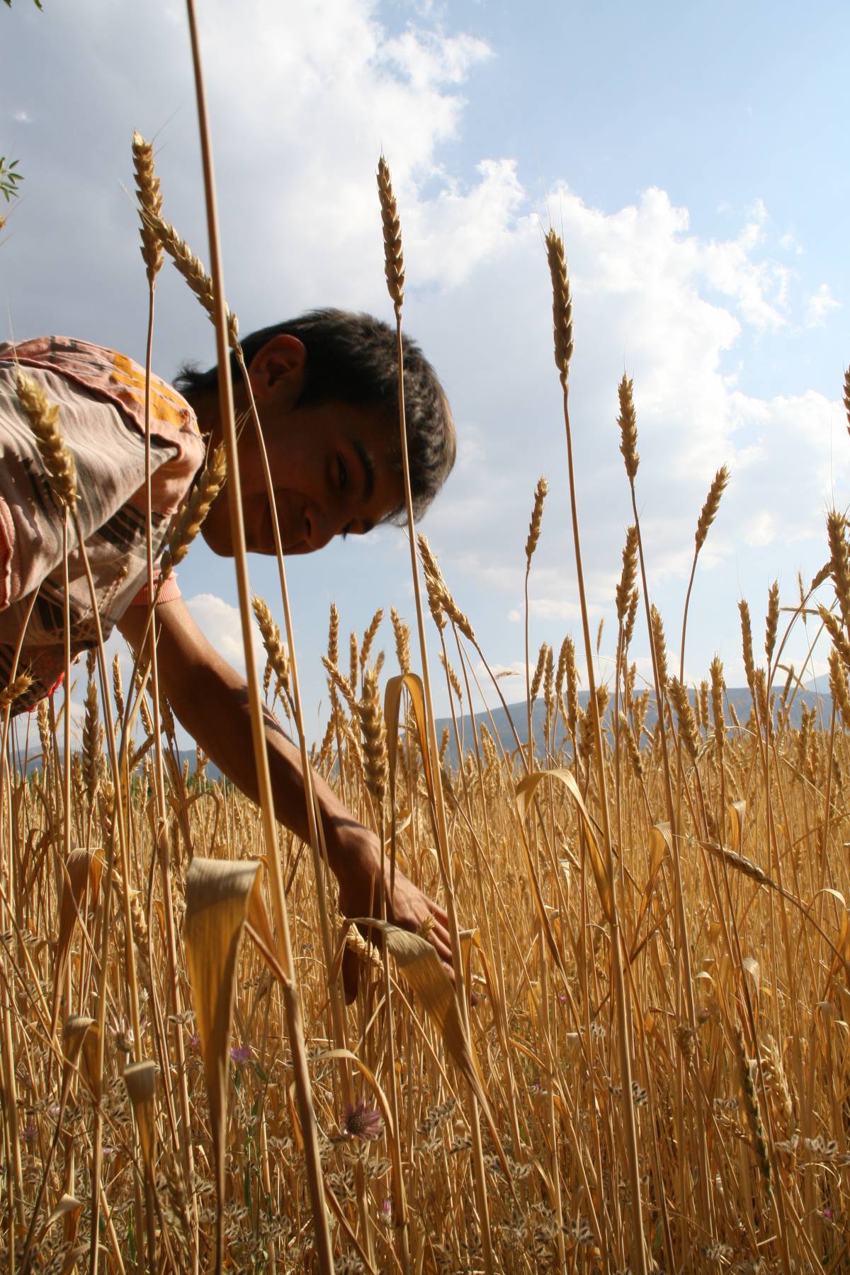 TÜRKYED: Binlercesine ihtiyaç varken binlercesi işsiz