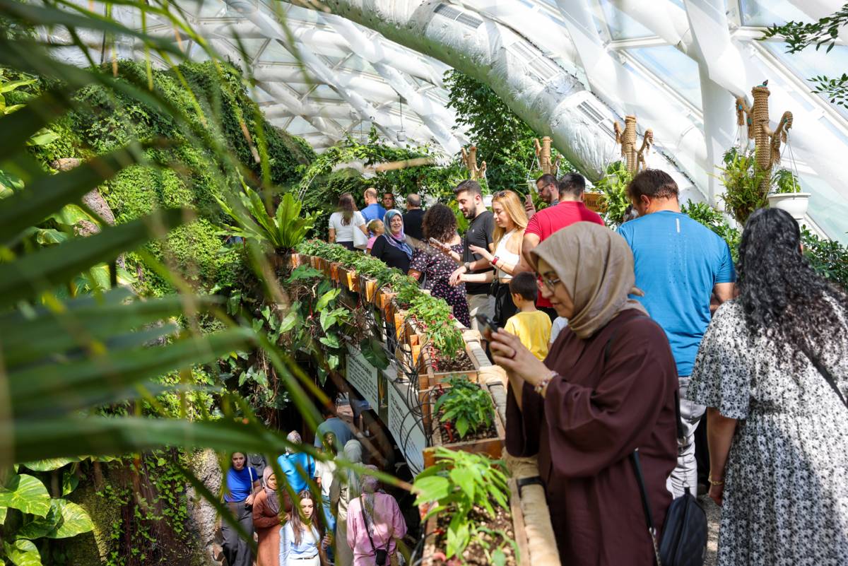 Tropikal Kelebek Bahçesi'ni 603 bin kişi ziyaret etti
