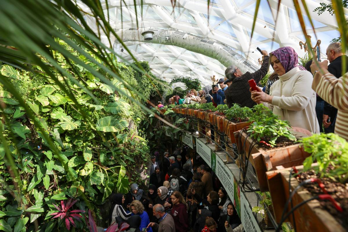 Tropikal Kelebek Bahçesi'ni 603 bin kişi ziyaret etti