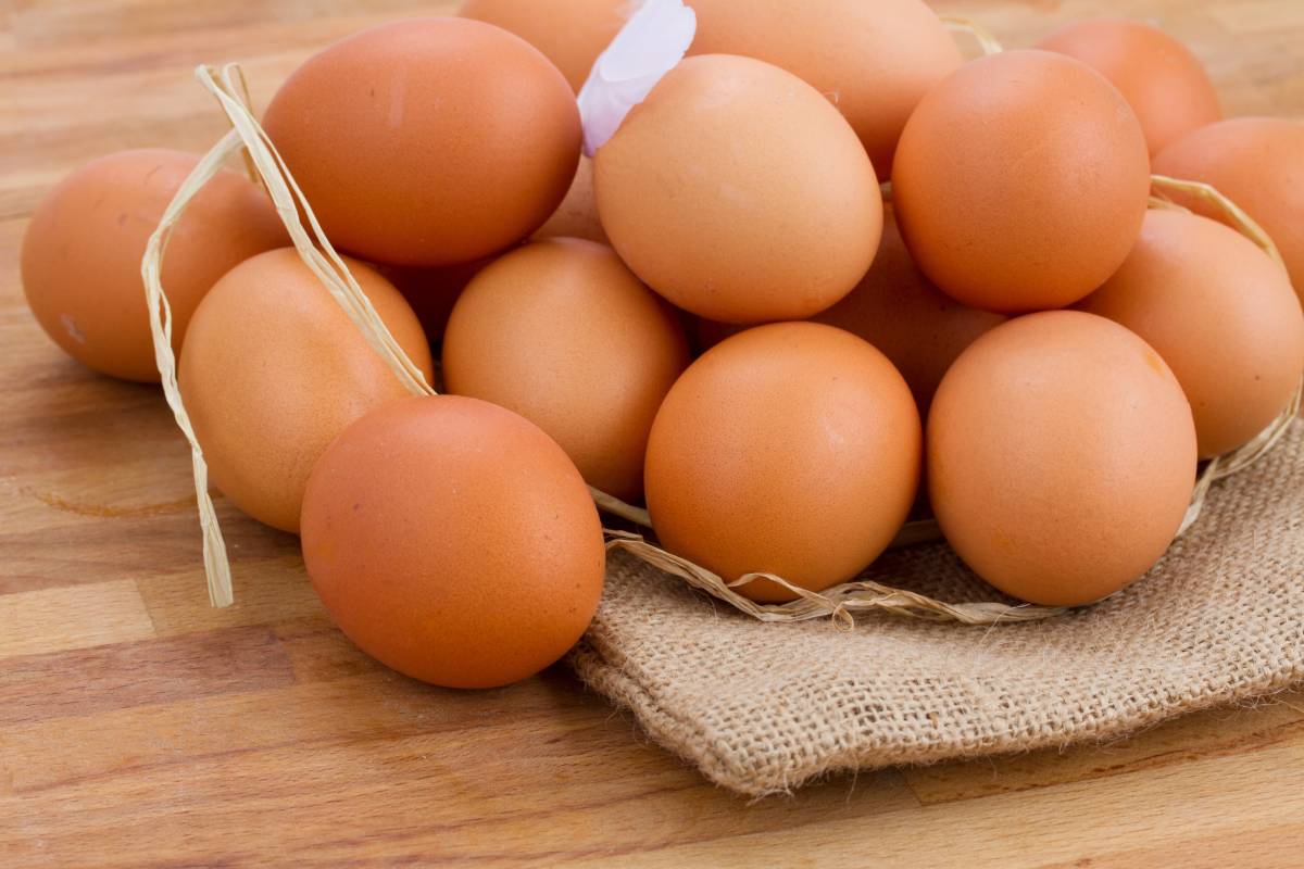 Yumurta üretimi 2025'te 1 milyar 262 milyon adet azaldı