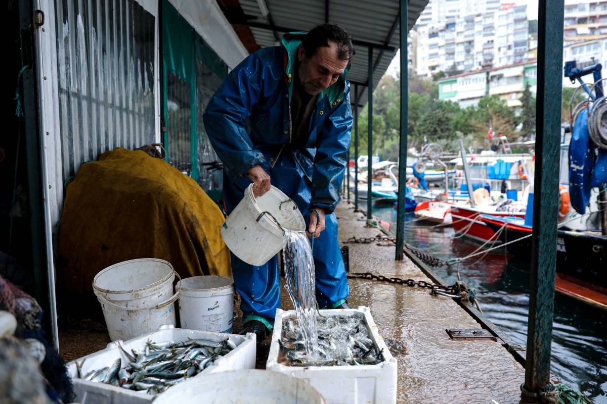 Bursa Büyükşehir mazot desteğine balıkçıları da dahil etti