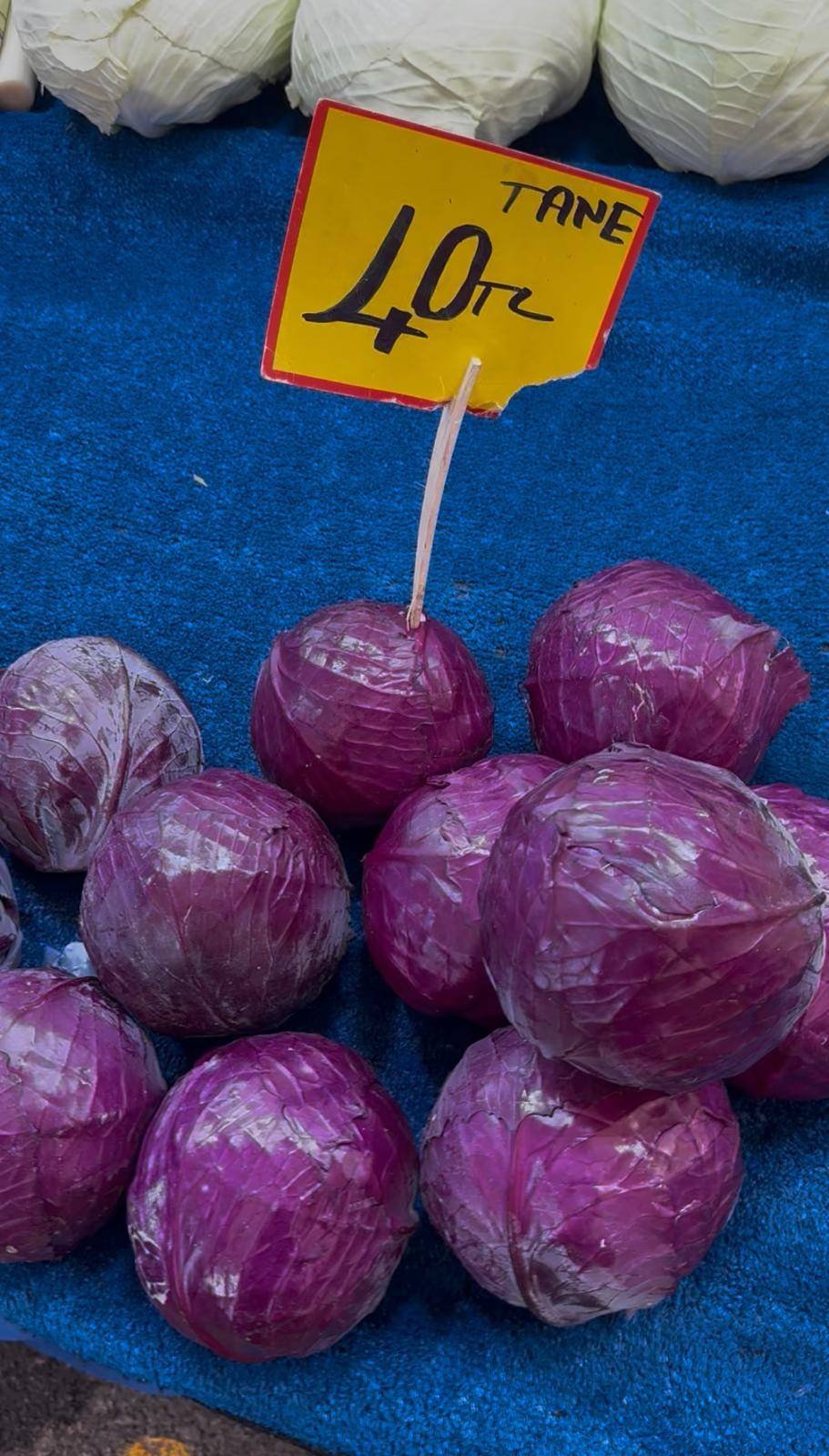 Karalahananın fiyatı 15 günde yarı yarıya ucuzladı