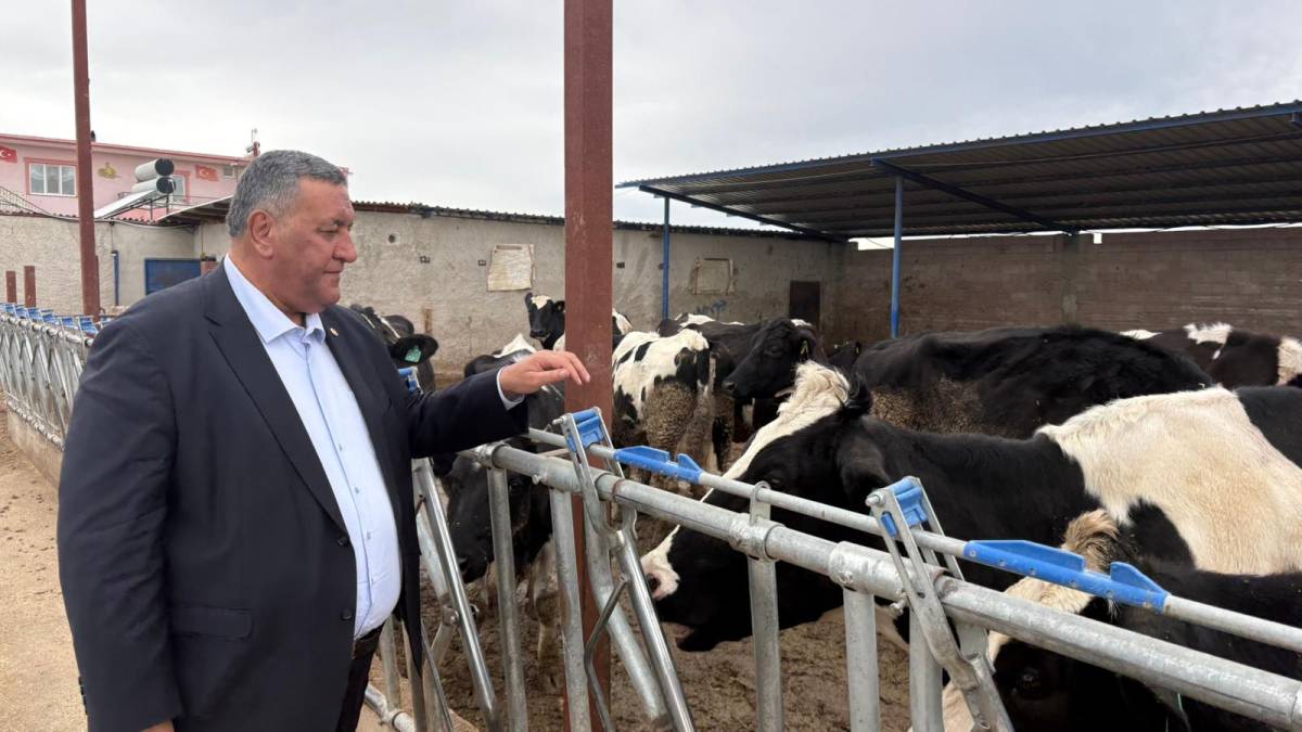 CHP'li Gürer: Üç yılda 108 bin ahırın kapısına kilit vuruldu