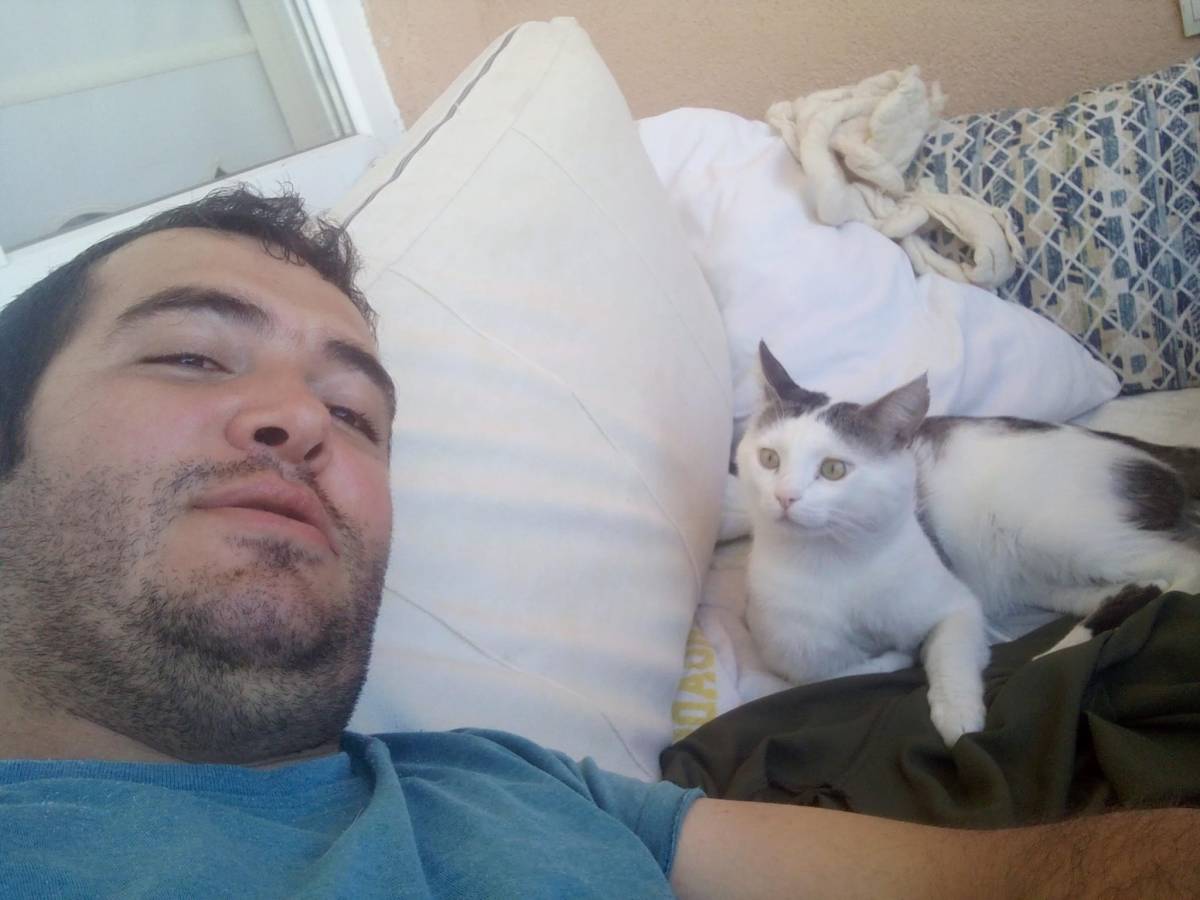 Kaybolan kedisi için binlerce kilometre yol yaptı