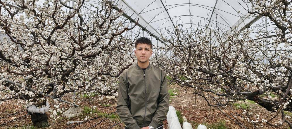 Erik sevenler; ağaçlar çiçek açtı meyvesine bir ay kaldı