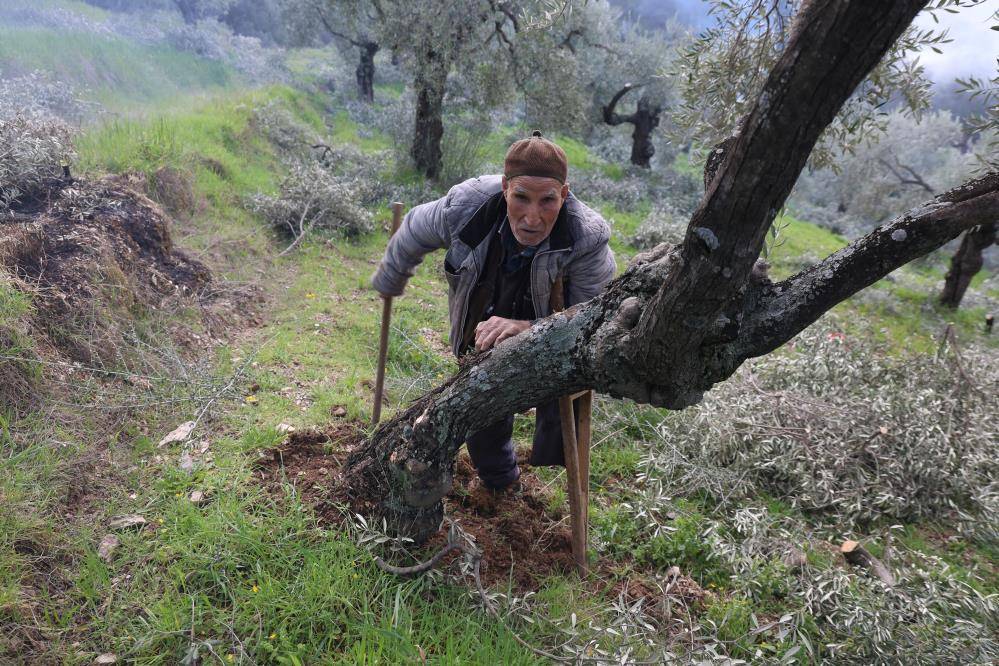 Tek bacağıyla 85 yaşına rağmen çiftçilik yapıyor üretiyor