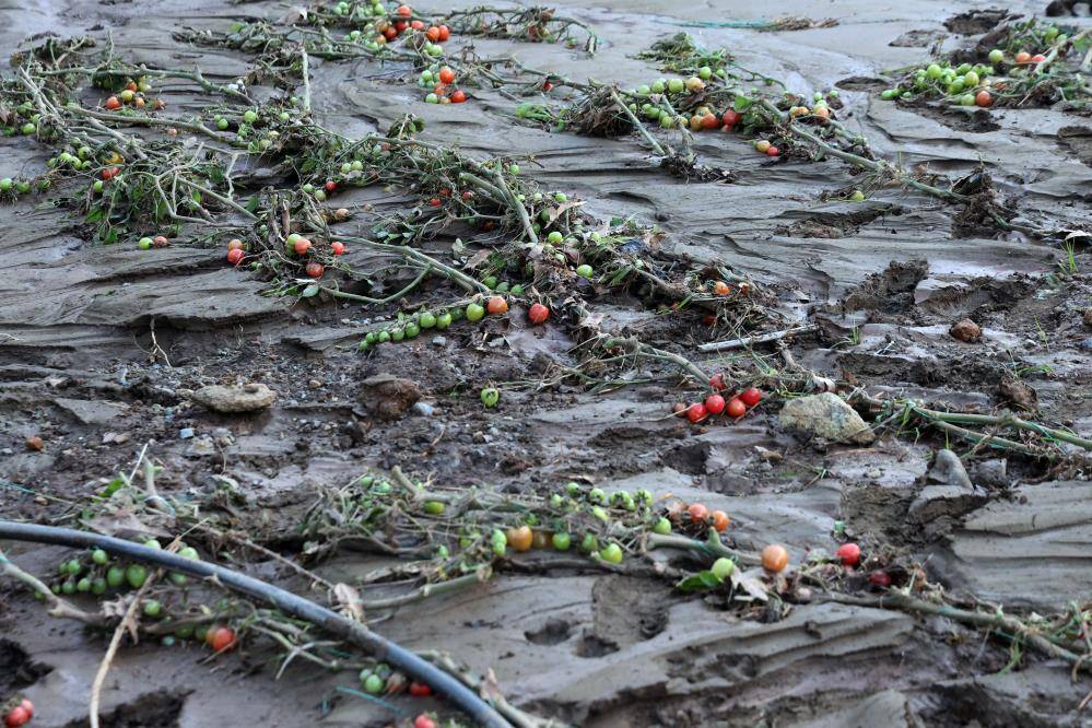 Sel 5 milyon liralık serasını ürününü yerle bir etti