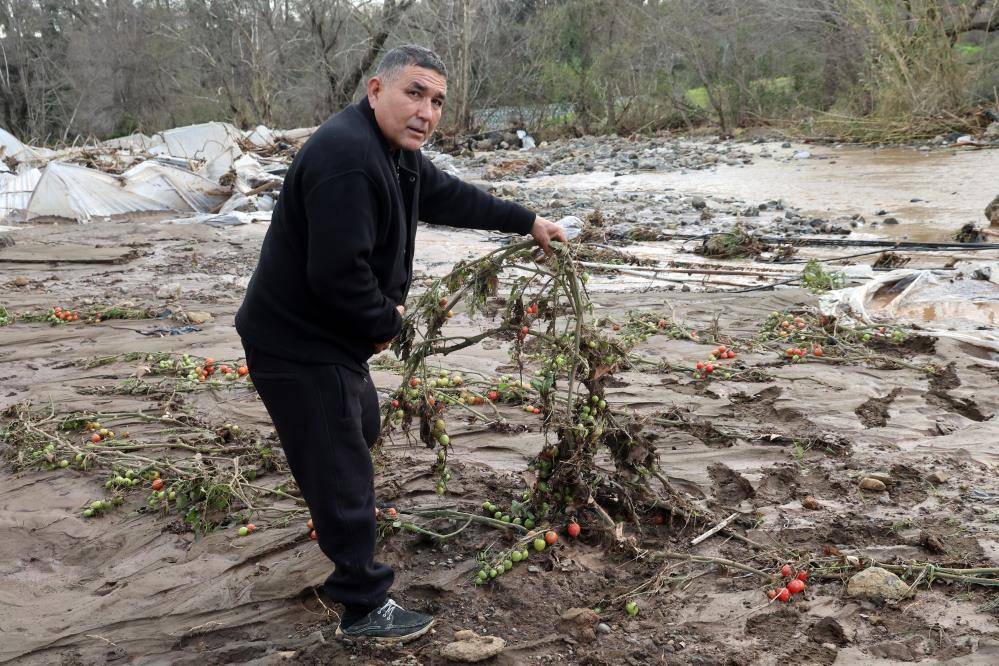 Tarımda üretici enflasyonu aylık yüzde 8,46 arttı