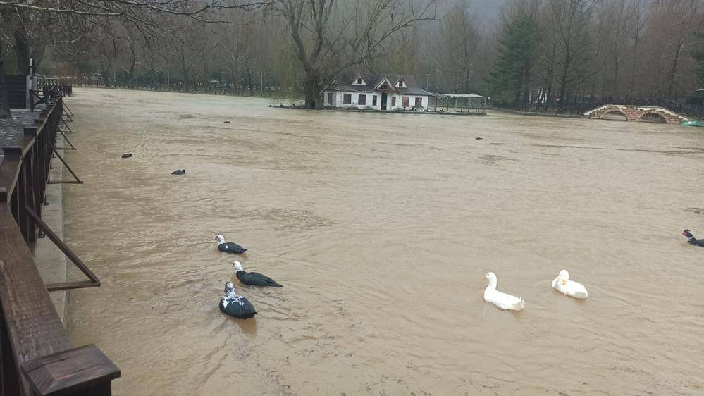 Seydişehir'de gölet taştı tarım arazileri su altında kaldı