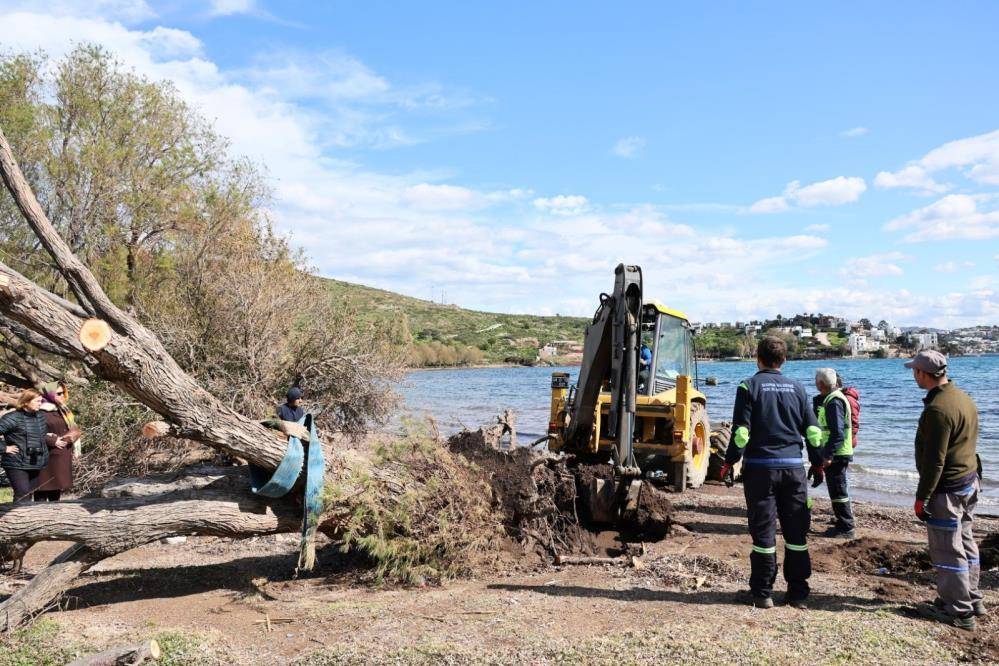 Fırtınada devrilen ağaçlar yerine dikiliyor