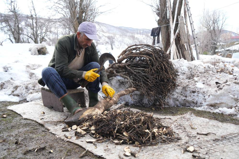 Geven otuyla yem maliyetini düşürüyor, verimi artırıyorlar