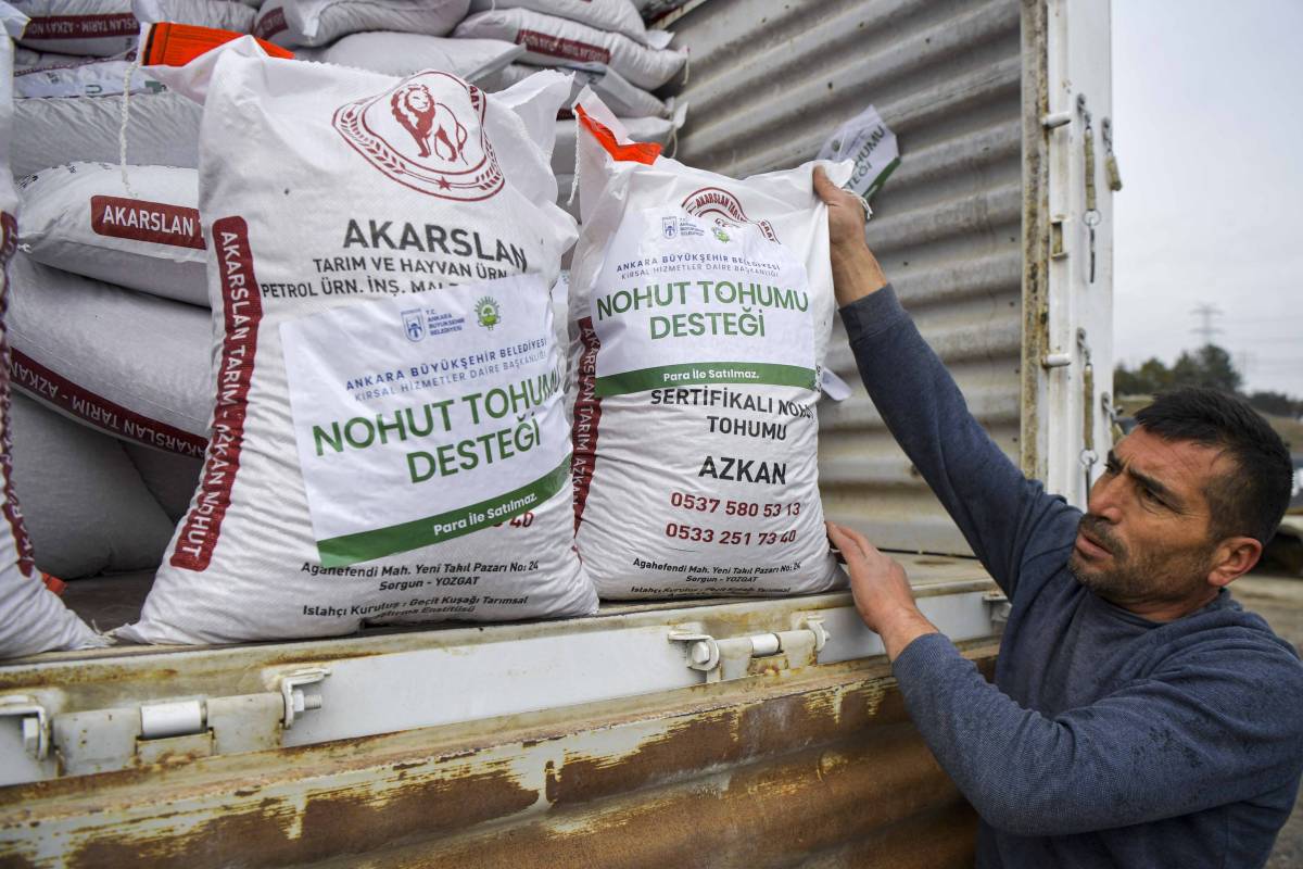 Ankara'da 100 bin dekar atıl arazide nohut üretilecek