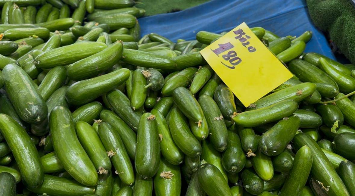 Sivri biber 250 lira, salatalık 180 liraya çıktı