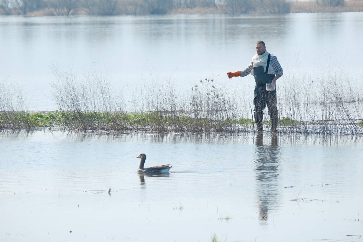 Hobi evi olarak yapıldı göl sularıyla 