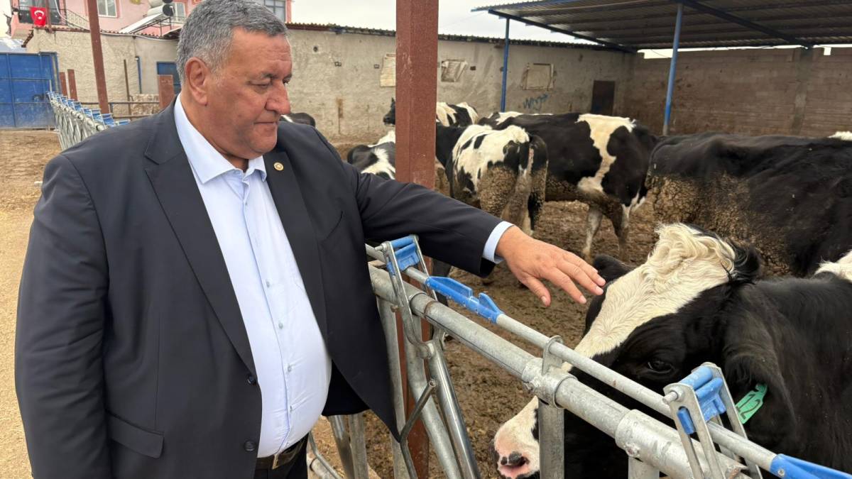 Niğdeli üretici şap hastalığına 20 büyükbaşını verdi