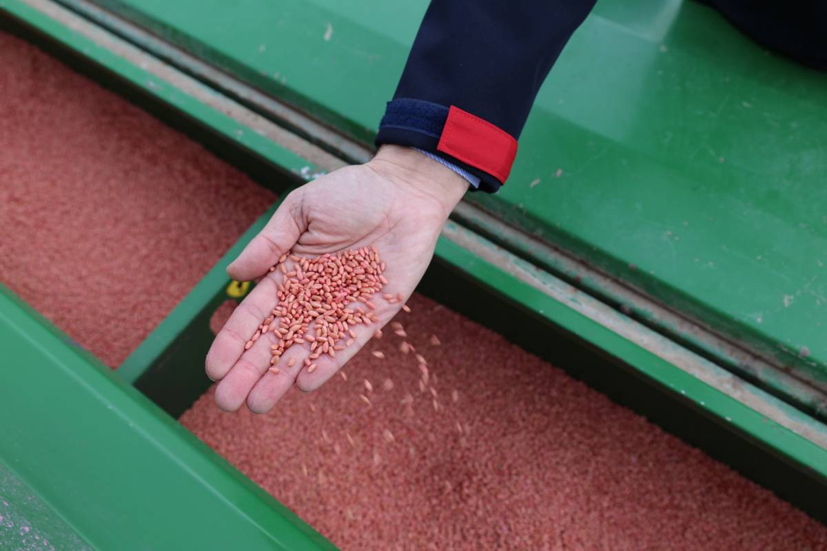 Tarımsal girdi enflasyonu çiftçiyi zorluyor