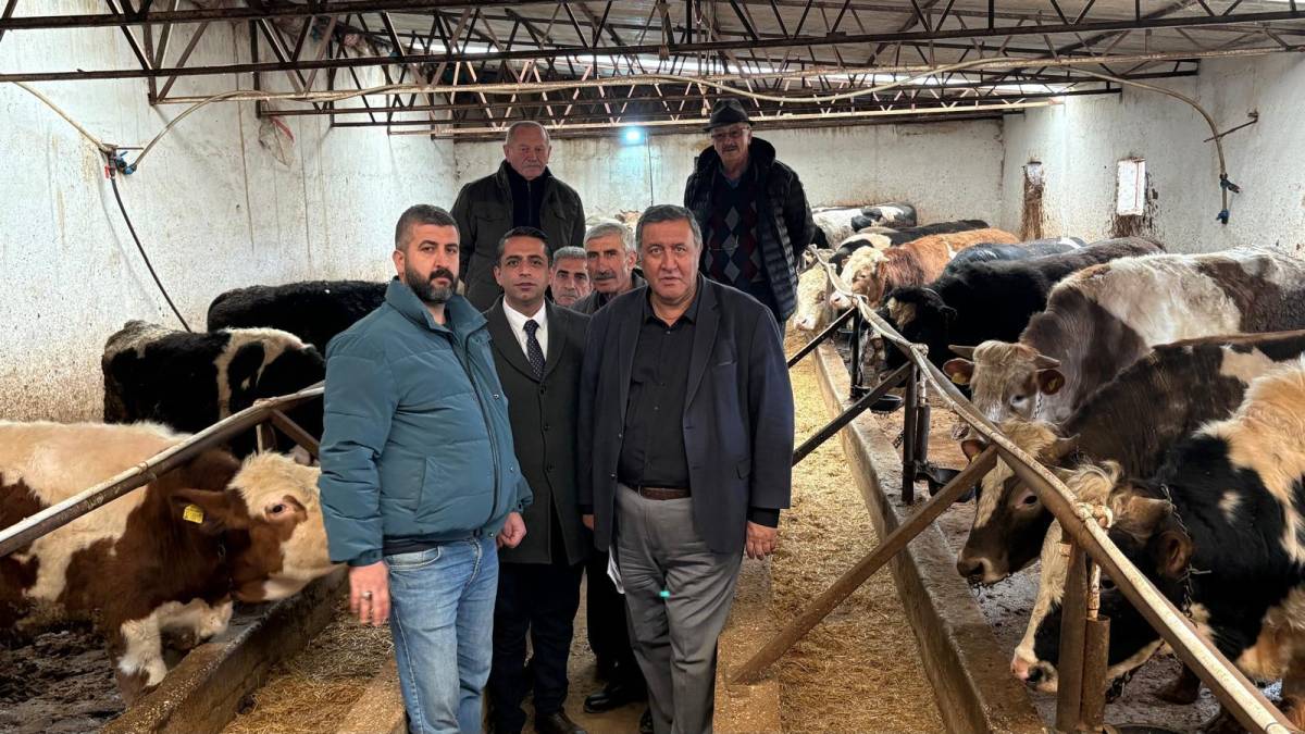 CHP'li Gürer'den TÜİK'in hayvan sayılarına tepki